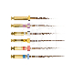 PROTAPER GOLD™ ASSORTIMENT (6)
 : LENGTE:21 MM