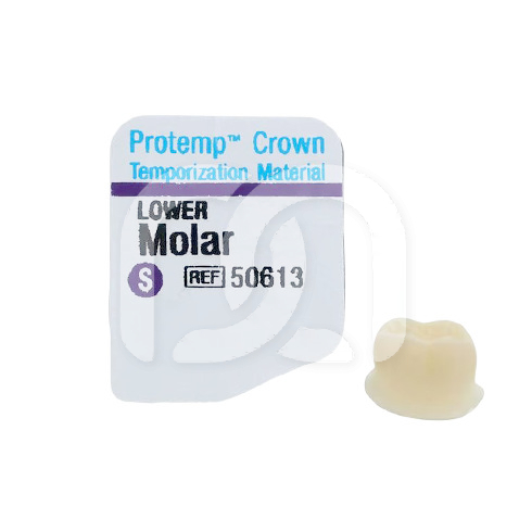 PROTEMP CROWN (5)