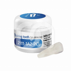 Dent d'Entraînement Endodontique 2111-1A2-PCL (1)