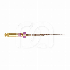 Steriele Vijlen ProTaper Gold Shaping File (6)