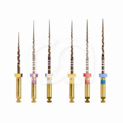 Vijlen ProTaper Gold Assortiment SX-F3 (6)