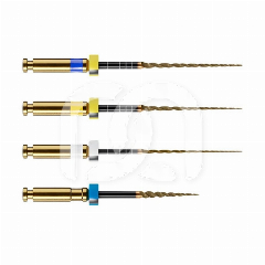 Limes Rotatives HyFlex EDM OGSF Sequence 31 mm (4)