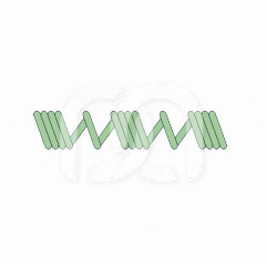 Ressorts NiTi de Distalisation 18 cm 100 g (3)