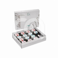 Set Keramische Tinten Initial IQ ONE SQIN (140g)