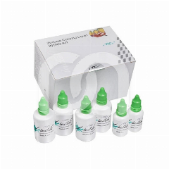 Introductie Kit Initial Zr Coloring Liquid (250g)