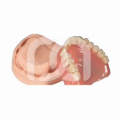 Silicone d'Addition Sheraduett-Soft (2 x 5 kg)