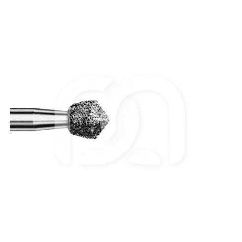 Diamanten Boor Puntige Eivorm FG 8905.313 (5)