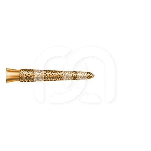 Conische Diamanten Boor FG 2878K.314 (5)