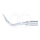 Insert de Parodontologie Compatible EMS (1) : N&deg;:N&deg;P4