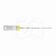 Limes K Manuelles d'Endodontie 21 mm (6)