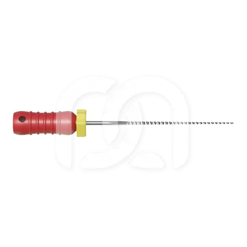 Limes K Manuelles d'Endodontie 21 mm (6)