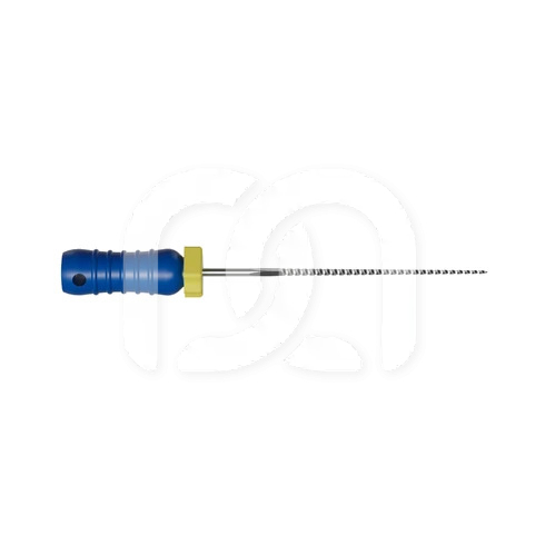 Handmatige K-Vijlen Voor Endodontie 21 mm (6)