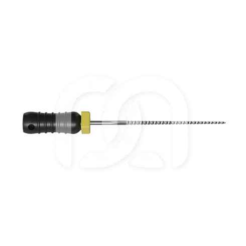 Limes K Manuelles d'Endodontie 21 mm (6)