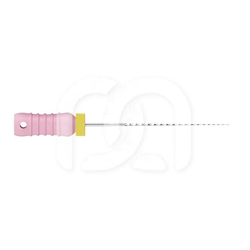 Broches Endodontiques Manuelles Long. 21 mm (6)
