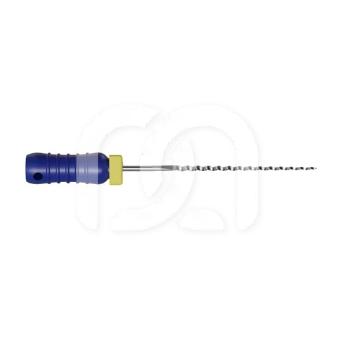 Broches Endodontiques Manuelles Long. 21 mm (6)