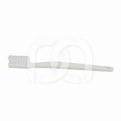 Brosse à dents pour modèle de démonstration