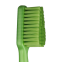 BROSSE A DENTS GOOD