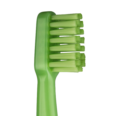 BROSSE A DENTS GOOD