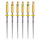 ZENFLEX - NITI ROTARY SHAPING FILE : Nr.:4%, LENGTE:21 MM, ISO:ISO 025